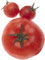 tomate